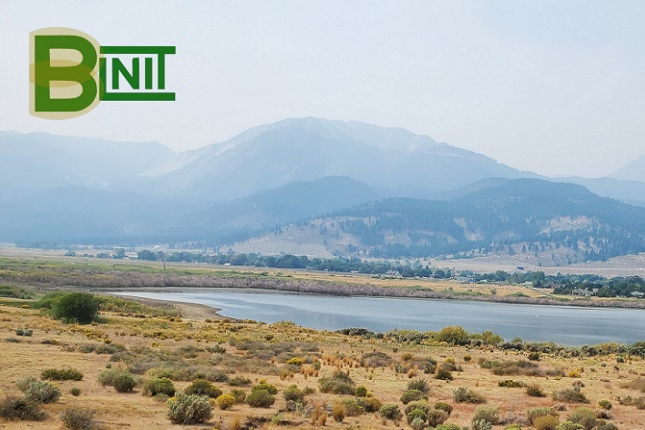 BLNIT Digital Painting