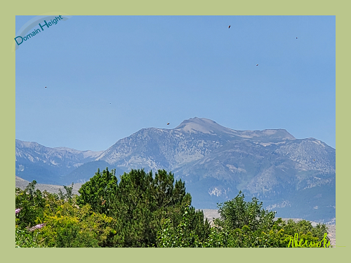 Domain Height Digital Painting